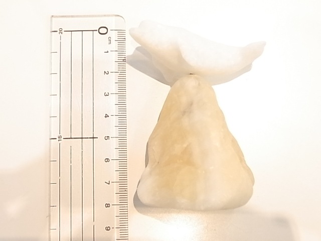 CA00036F�����륫�������С����륵���ȡ�