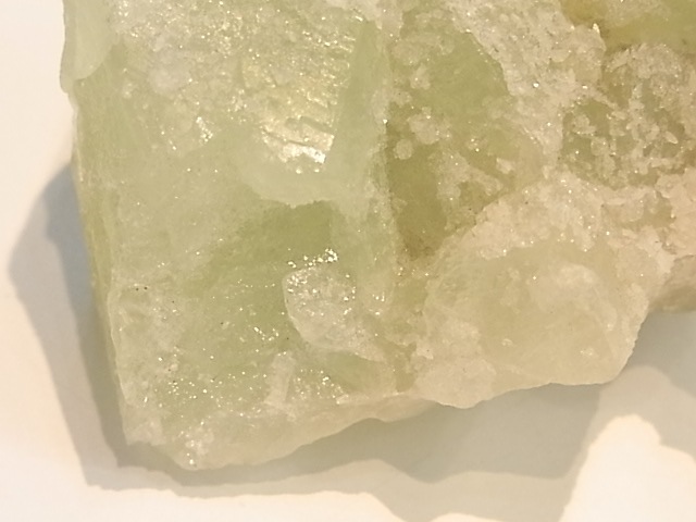 GA00053F���ɥ��롼�����ե����饤�� ����