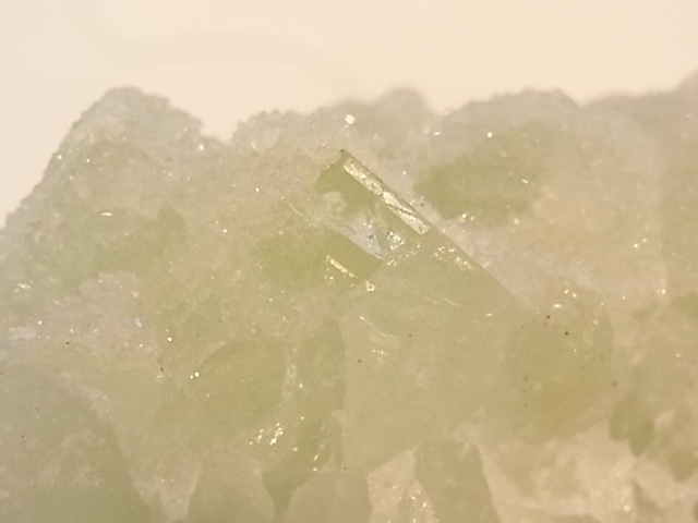 GA00054F���ɥ��롼�����ե����饤�� ����