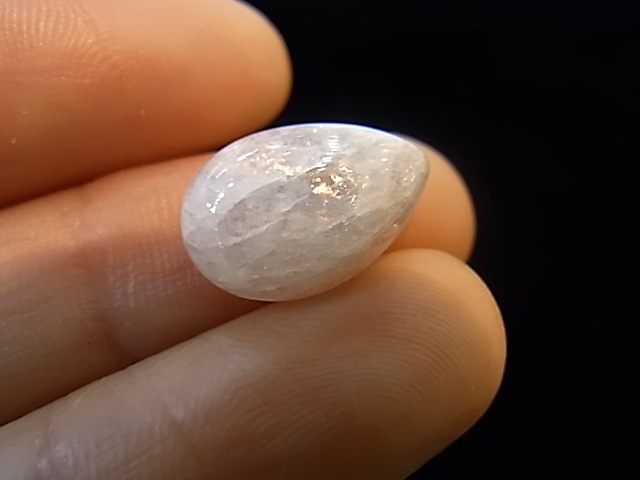 CCI0003F  �ʥȥ��饤�ȡ��롼���ʥ���������