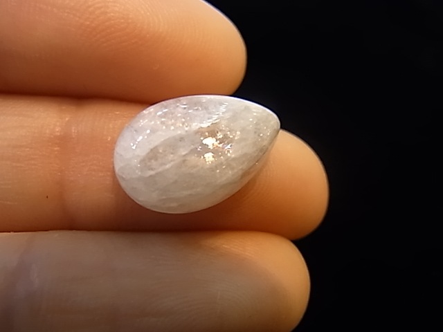 CCI0003F  �ʥȥ��饤�ȡ��롼���ʥ���������