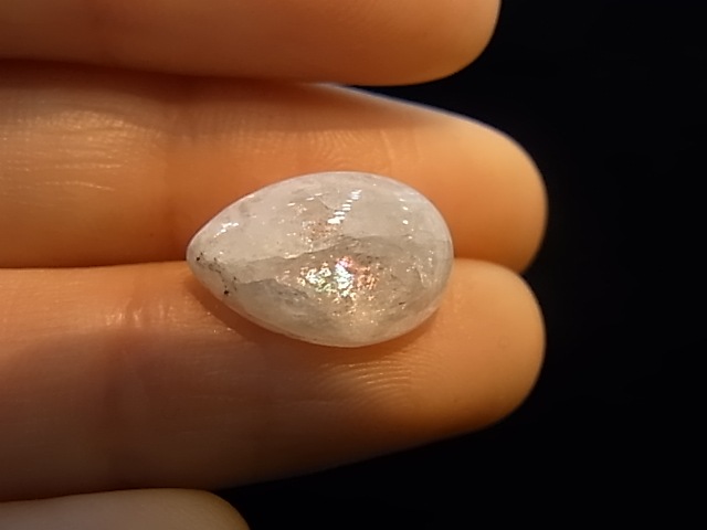 CCI0003F  �ʥȥ��饤�ȡ��롼���ʥ���������