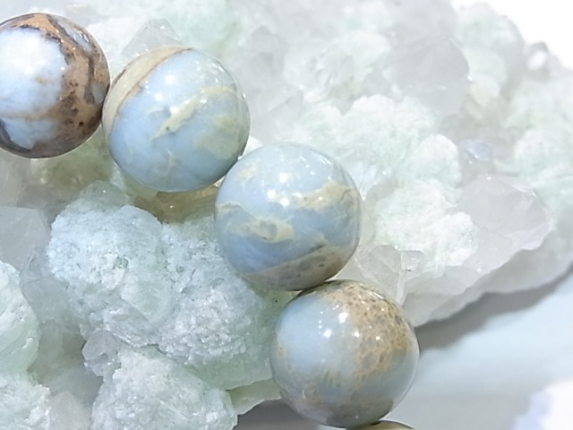 BA00070Kץå󥸥㥹ѡʥХꥵȡˡ12̥֥쥹å