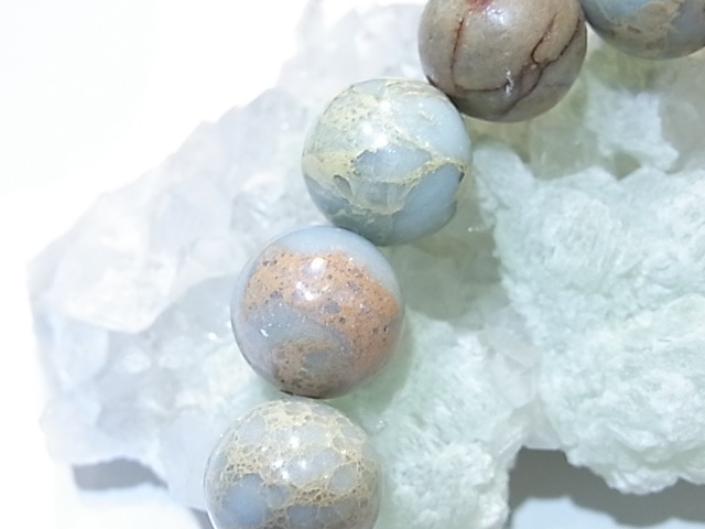 BA00070Kץå󥸥㥹ѡʥХꥵȡˡ12̥֥쥹å