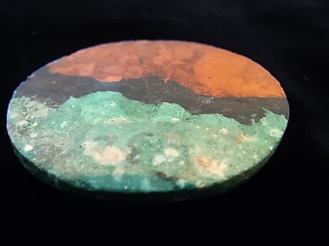 CCI0005F�����塼�ץ饤�ȡ����꥽���顡�롼��