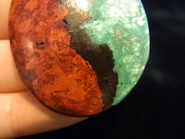 CCI0005F�����塼�ץ饤�ȡ����꥽���顡�롼��