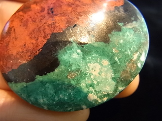 CCI0005F�����塼�ץ饤�ȡ����꥽���顡�롼��