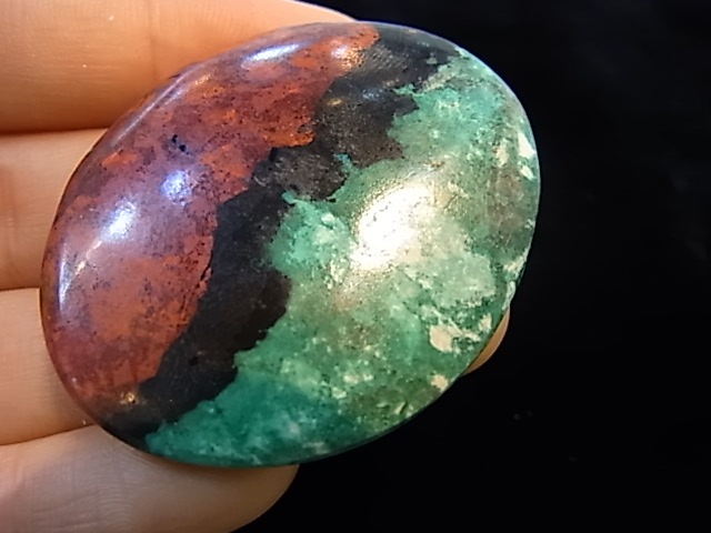 CCI0005F�����塼�ץ饤�ȡ����꥽���顡�롼��