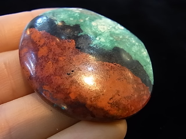 CCI0005F�����塼�ץ饤�ȡ����꥽���顡�롼��