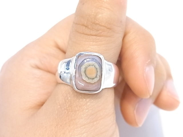 RA00041F����������󥸥㥹�ѡ� ����С����