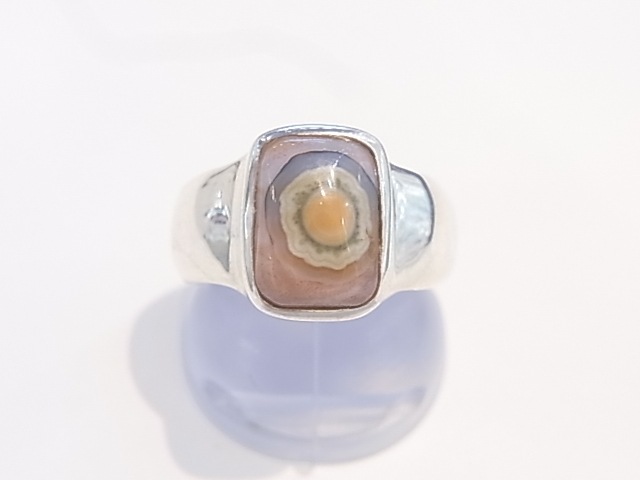 RA00041F����������󥸥㥹�ѡ� ����С����