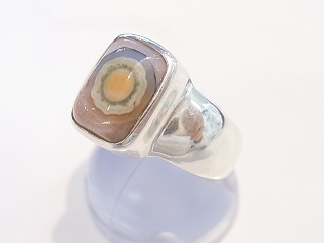 RA00041F����������󥸥㥹�ѡ� ����С����