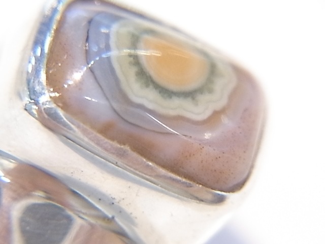 RA00041F����������󥸥㥹�ѡ� ����С����