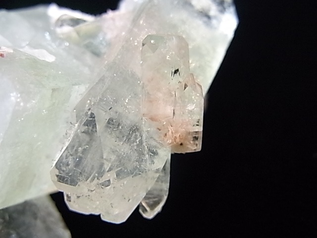 GA00023K�����꡼�󥢥ݥե��饤�ȡ�����