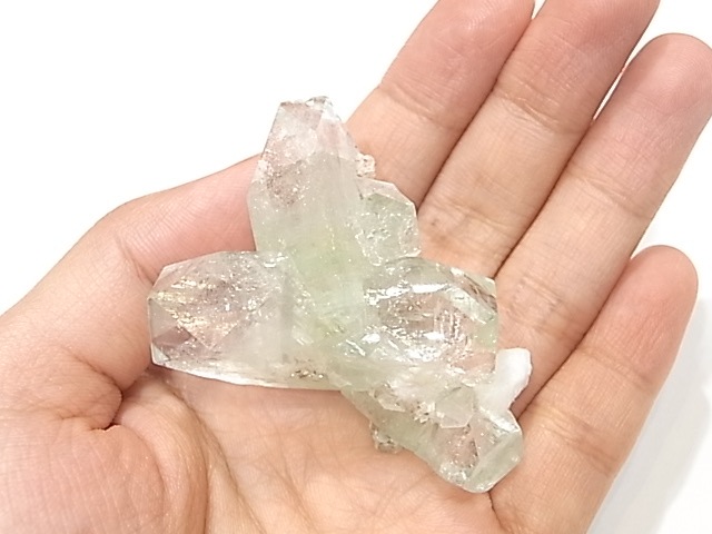 GA00023K�����꡼�󥢥ݥե��饤�ȡ�����