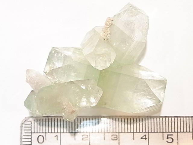 GA00023K�����꡼�󥢥ݥե��饤�ȡ�����