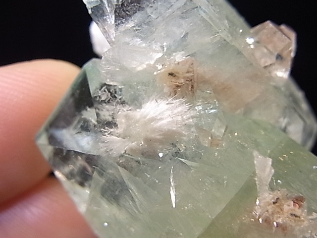 GA00023K�����꡼�󥢥ݥե��饤�ȡ�����