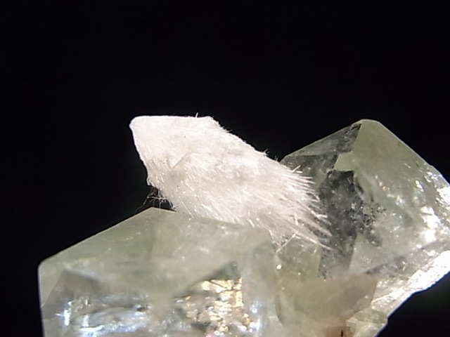 GA00023K�����꡼�󥢥ݥե��饤�ȡ�����