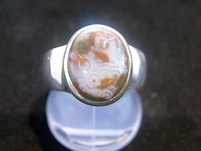 RA00042F����������󥸥㥹�ѡ� ����С����