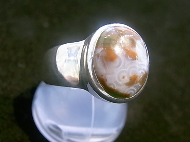 RA00042F����������󥸥㥹�ѡ� ����С����