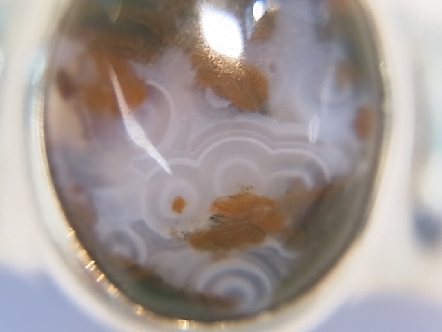 RA00042F����������󥸥㥹�ѡ� ����С����