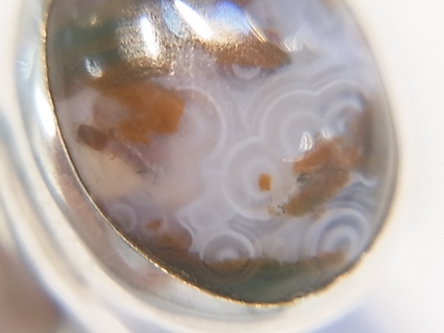 RA00042F����������󥸥㥹�ѡ� ����С����