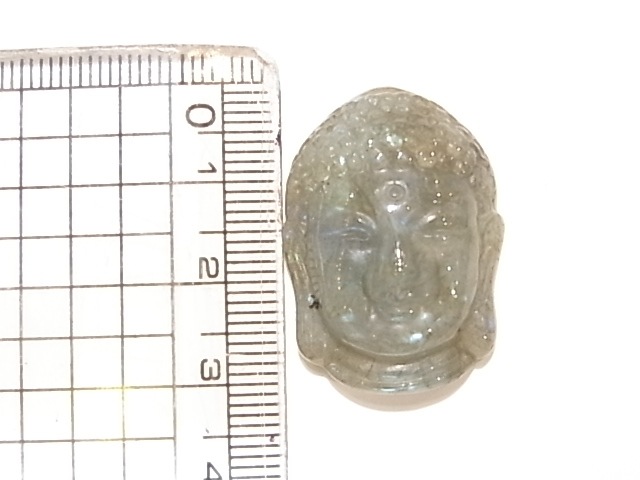 CA00018K����֥�ɥ饤��Ħ���ʩ�ˡ�