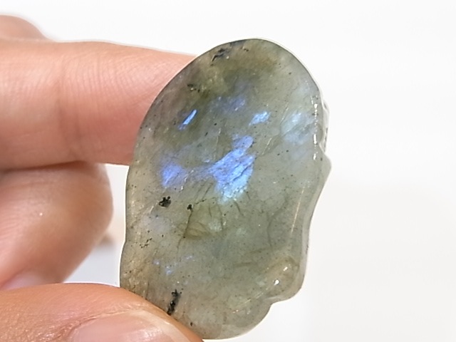 CA00018K����֥�ɥ饤��Ħ���ʩ�ˡ�