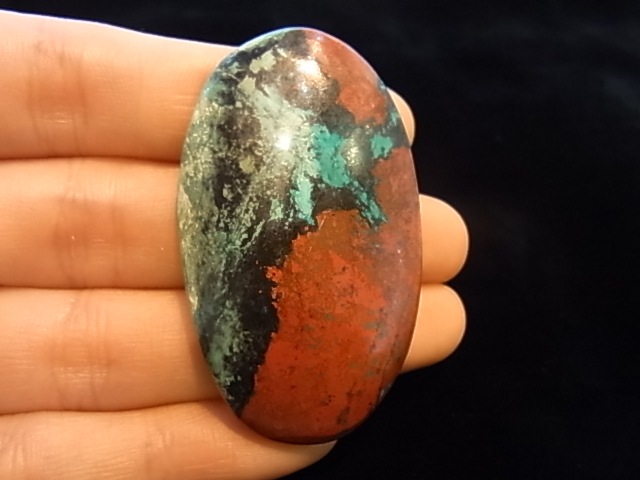 CCI0006F�����塼�ץ饤�ȡ����꥽���顡�롼��