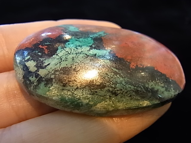 CCI0006F�����塼�ץ饤�ȡ����꥽���顡�롼��