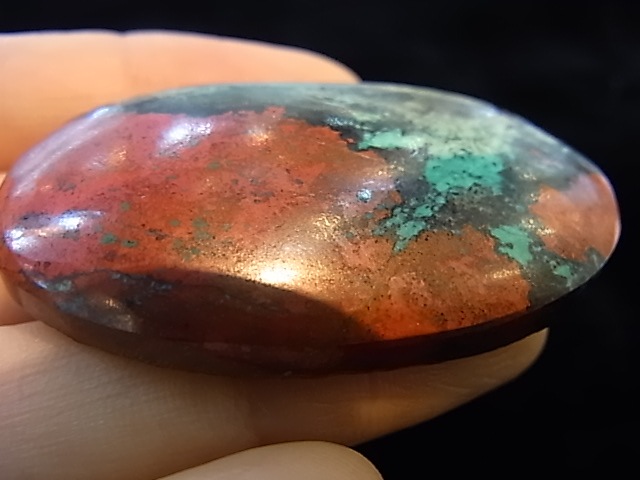 CCI0006F�����塼�ץ饤�ȡ����꥽���顡�롼��