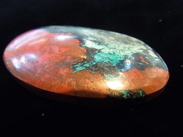 CCI0006F�����塼�ץ饤�ȡ����꥽���顡�롼��