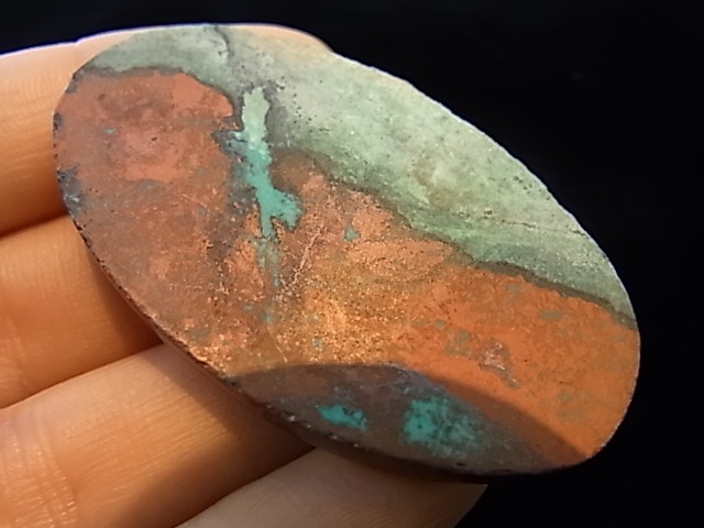 CCI0006F�����塼�ץ饤�ȡ����꥽���顡�롼��