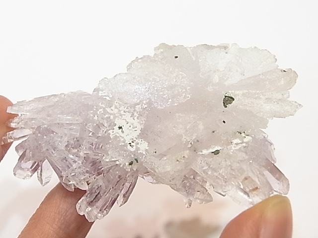 GA00081K���ե����᥸���ȡ��֥饸�뻺������