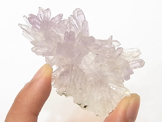 GA00081K���ե����᥸���ȡ��֥饸�뻺������