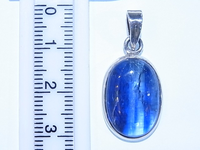 PA0001K������ʥ��� �ڥ����ȥȥåסʥͥѡ��뻺��