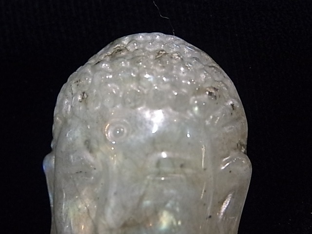 CA00019K����֥�ɥ饤��Ħ���ʩ�ˡ�