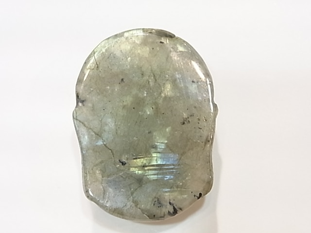 CA00019K����֥�ɥ饤��Ħ���ʩ�ˡ�