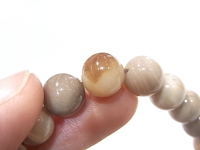 BA00038K���ڥȥ�ե����ɥ��åɡ�8�����̥֥쥹��å�