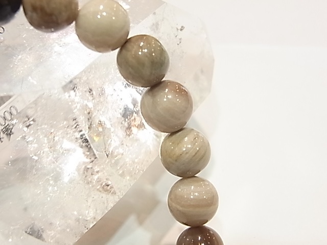 BA00038K���ڥȥ�ե����ɥ��åɡ�8�����̥֥쥹��å�