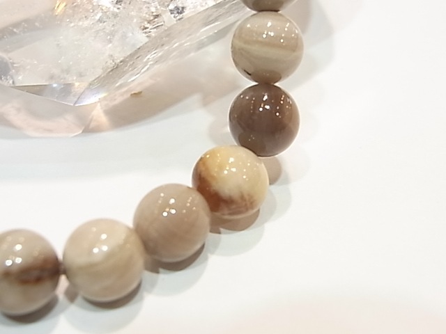 BA00038K���ڥȥ�ե����ɥ��åɡ�8�����̥֥쥹��å�