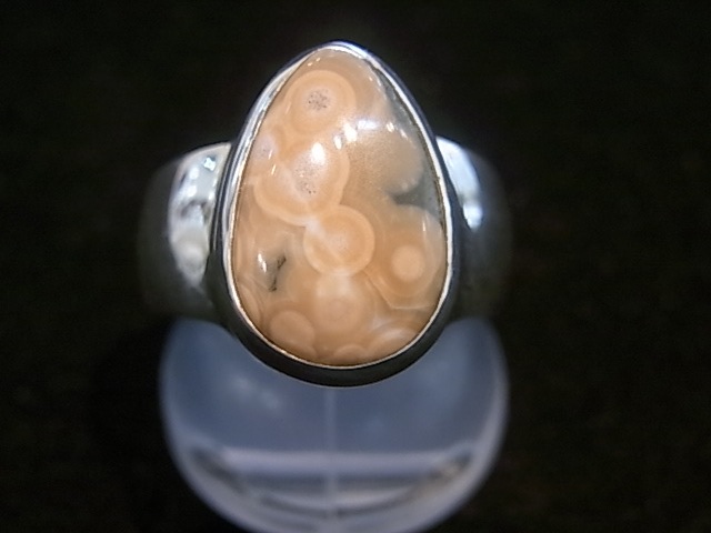 RA00043F����������󥸥㥹�ѡ� ����С����