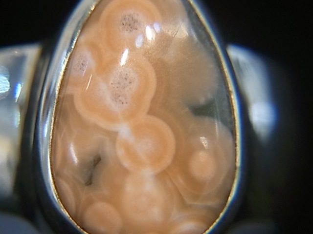 RA00043F����������󥸥㥹�ѡ� ����С����