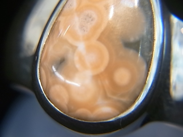 RA00043F����������󥸥㥹�ѡ� ����С����