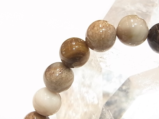 BA00039K���ڥȥ�ե����ɥ��åɡ�8�����̥֥쥹��å�