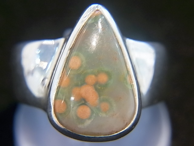 RA00044F����������󥸥㥹�ѡ� ����С����