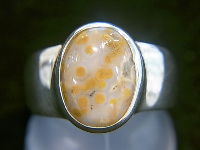 RA00045F����������󥸥㥹�ѡ� ����С����