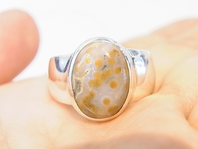 RA00045F����������󥸥㥹�ѡ� ����С����