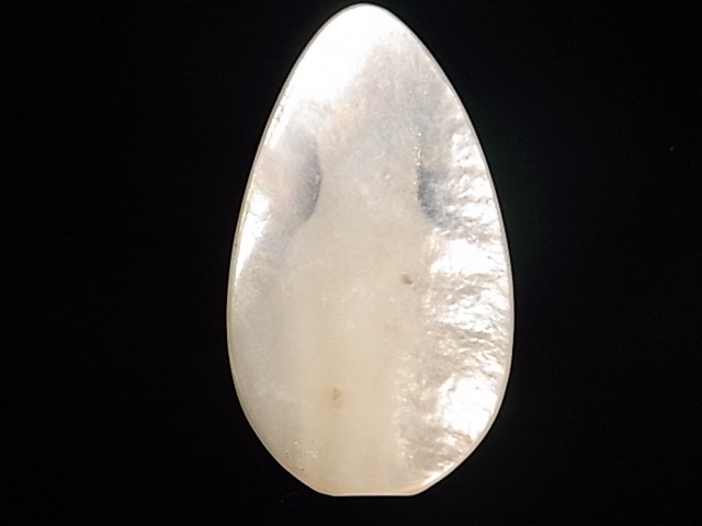 CA00023K���ޥ������֥ѡ��� Ħ��ʴѲ��͡�