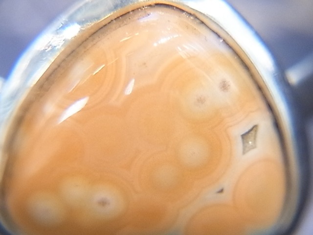 RA00046F����������󥸥㥹�ѡ� ����С����